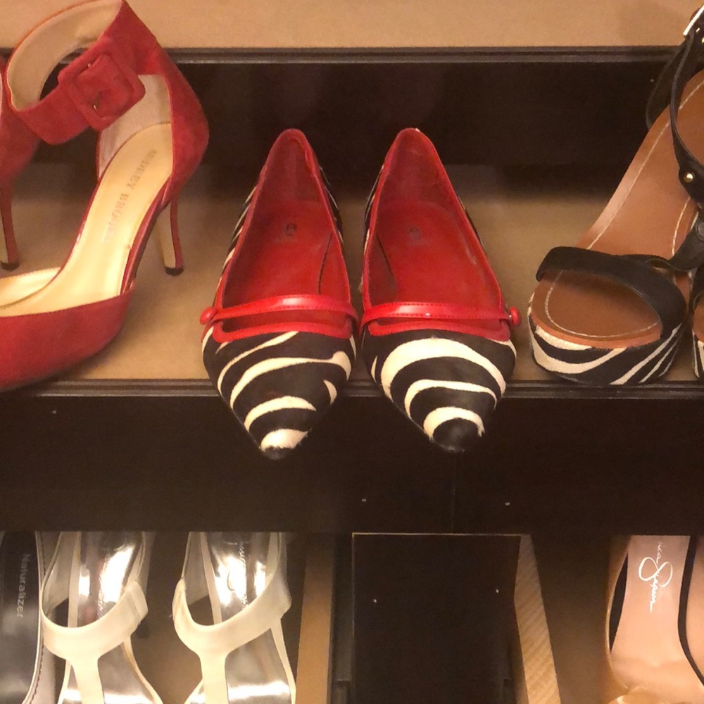 Zebra shoes